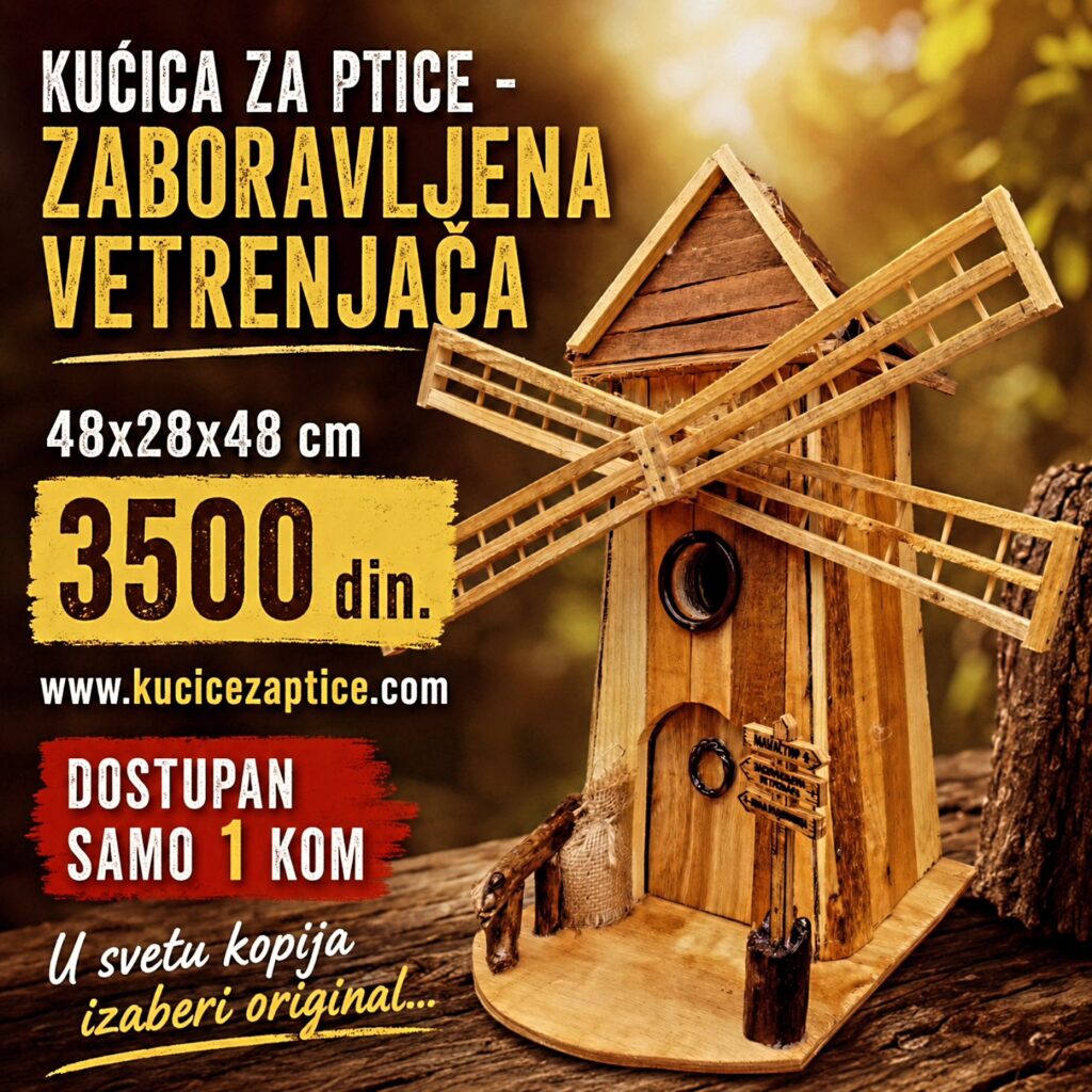 Kućica za ptice - ZABORAVLJENA VETRENJAČA