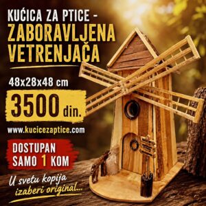 Kućica za ptice - ZABORAVLJENA VETRENJAČA