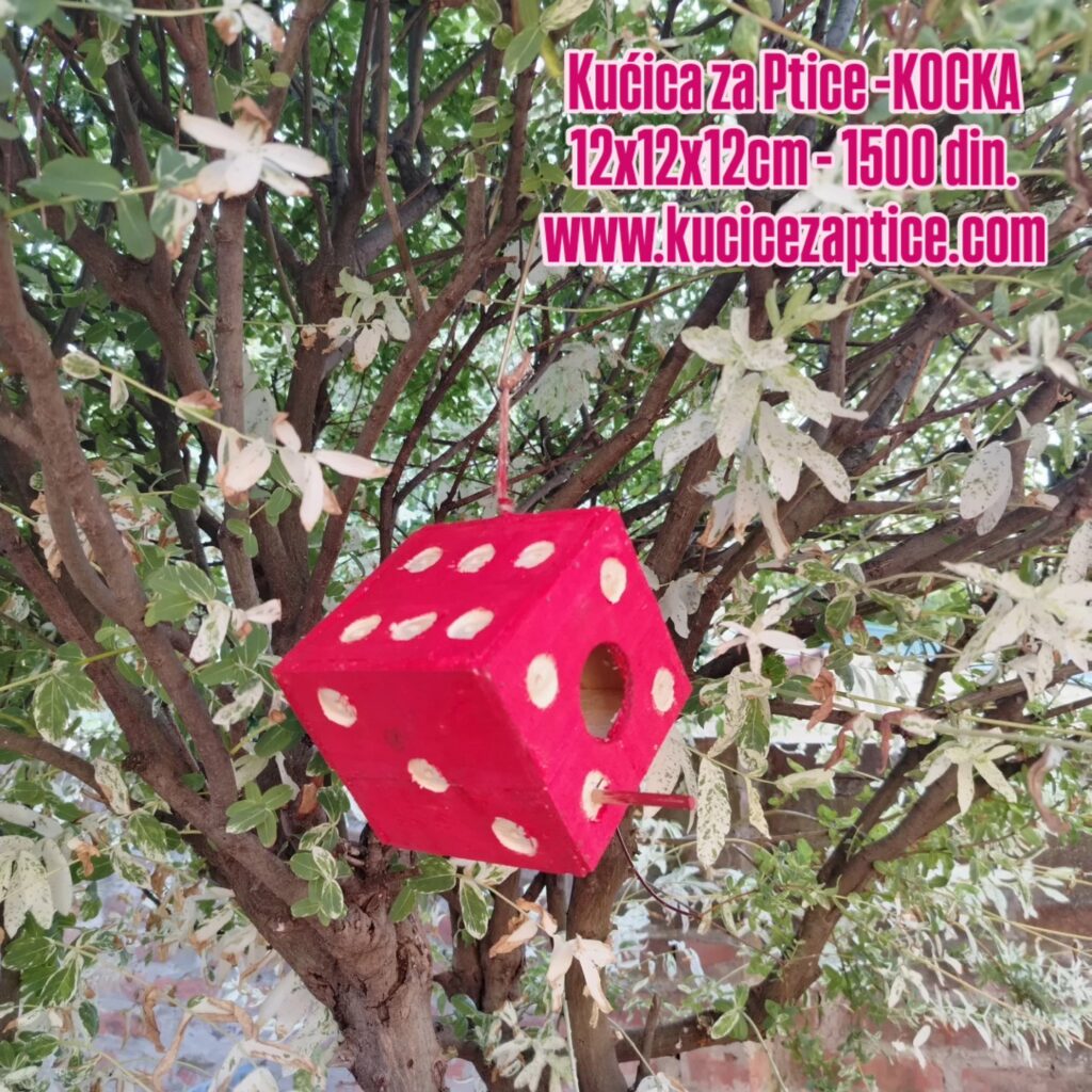 Kućica za ptice - KOCKA