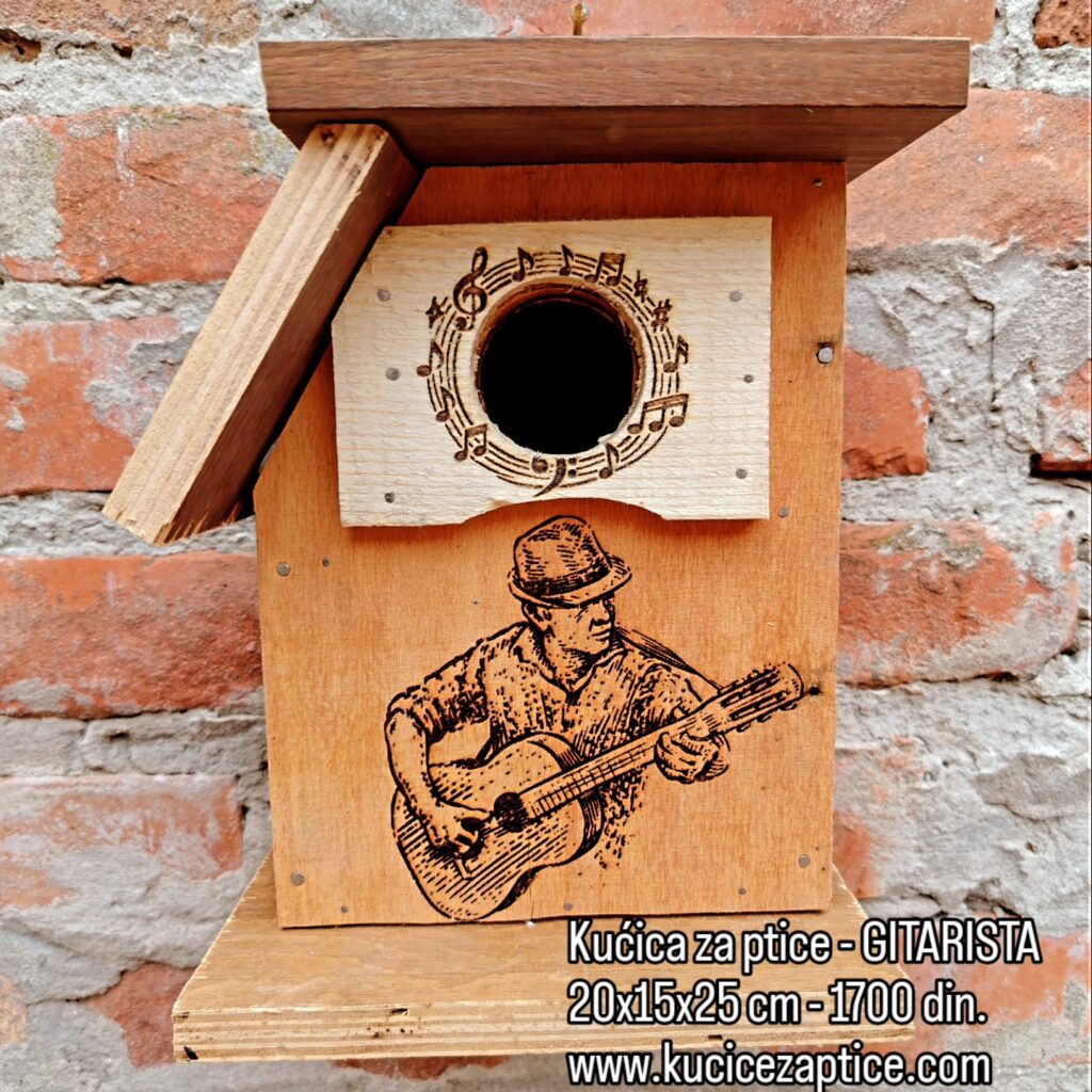 Kućica za ptice - GITARISTA