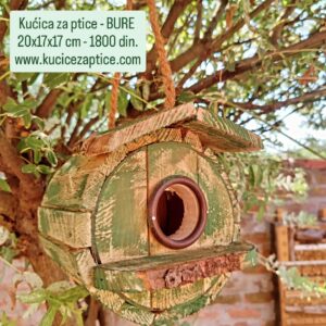 Kućica za ptice - BURE